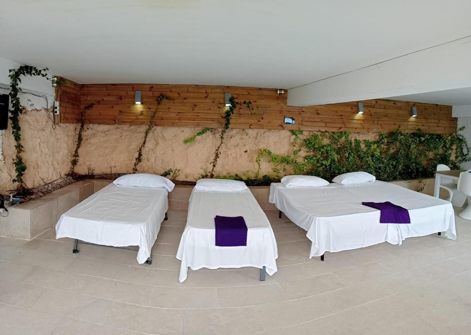 Exclusive Seafront Villa,private Pool,gym,bbq El Toro (Mallorca)