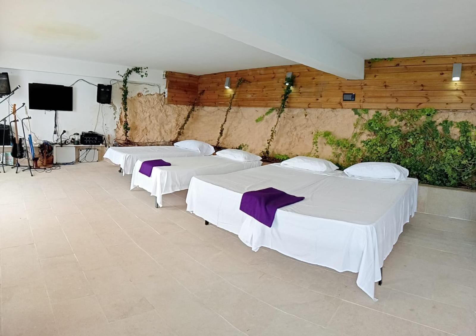Exclusive Seafront Villa,private Pool,gym,bbq * El Toro (Mallorca)